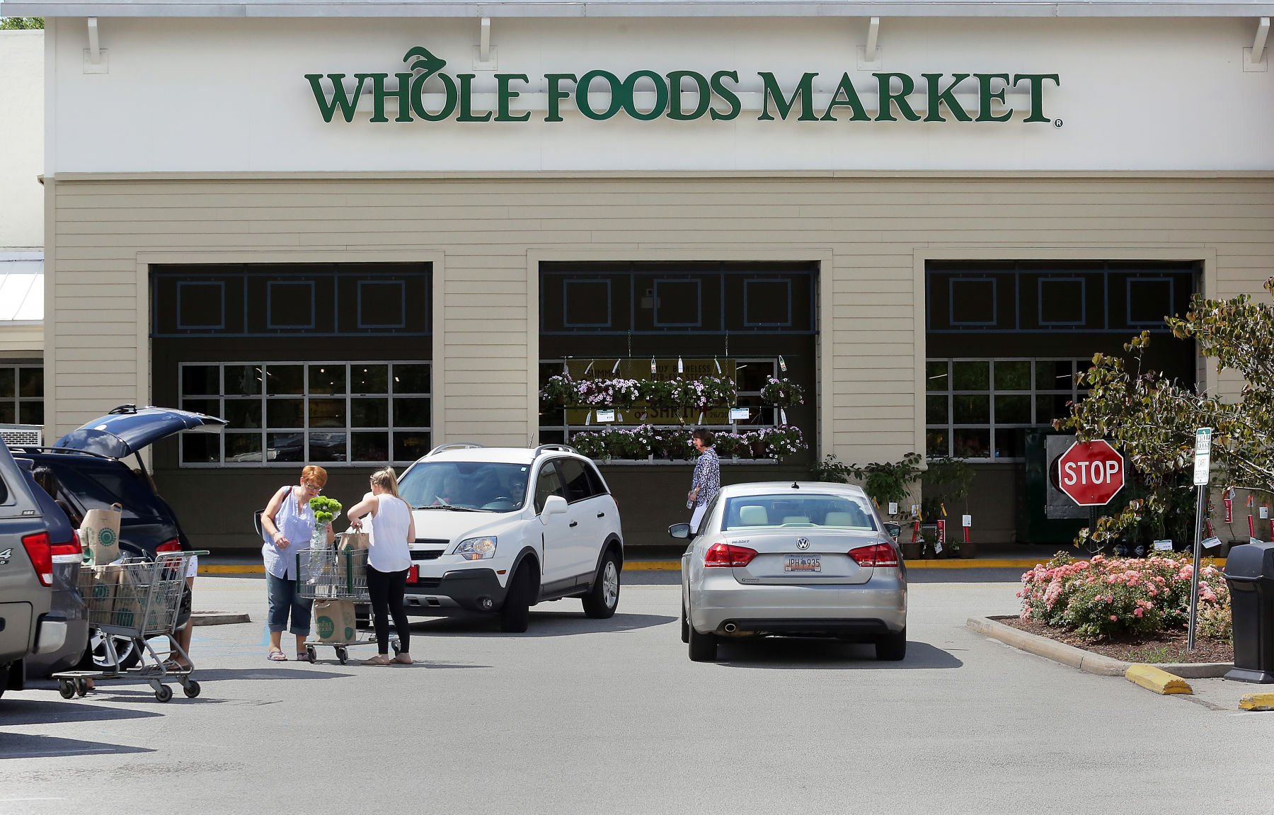Whole Foods Market (copy)